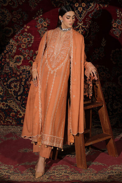 3 Piece Embroidered Kantha Stripe Suit