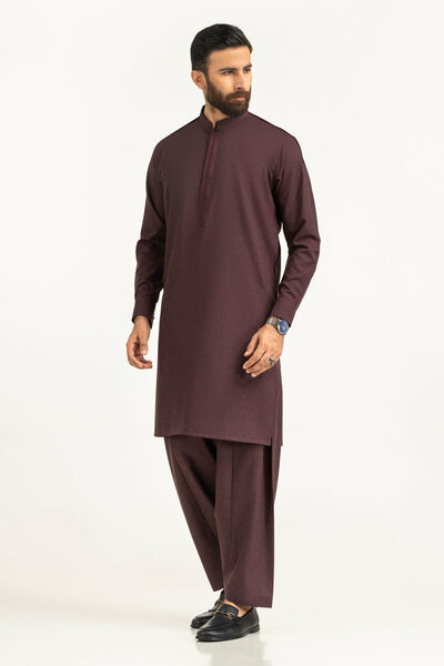 Regular Fit Embroidered Suits