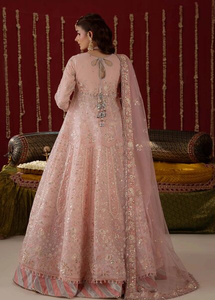 Ember by Aylin Unstitched Embroidered Organza 3 Piece Suit AY26UEW Lovelorn - Wedding Collection