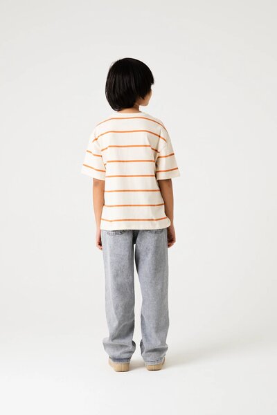 Boys Rust Stripe Drop Tee