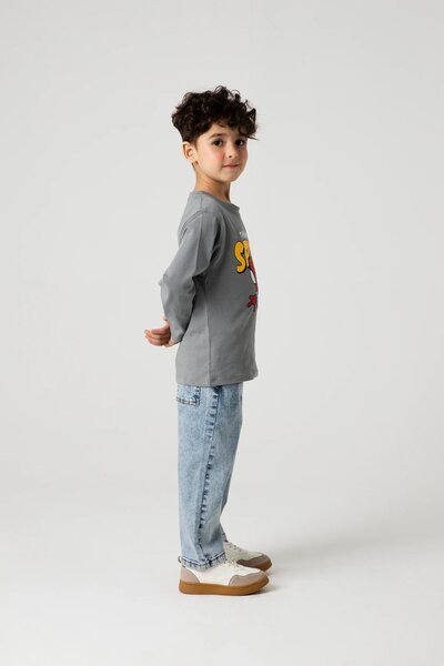 Boys Spidey Grey Hero Tee