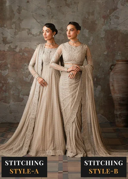 Emirah by Zarif Embroidered Net Suit Unstitched 3 Piece ZR25UF ZEF 02- Breeze - Formal Collection
