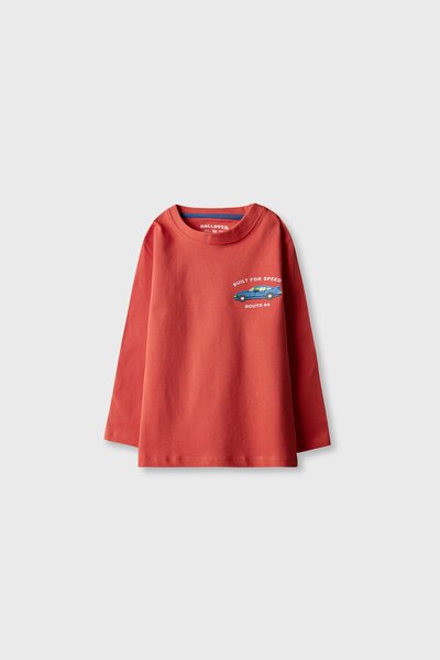 Boys Full Sleeve Printed Tees Bundle