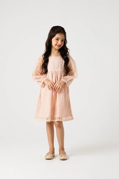 Peach Petal Yoke Net Dress