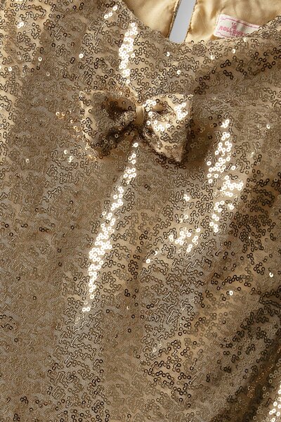 Golden Stardust Sequin Dress