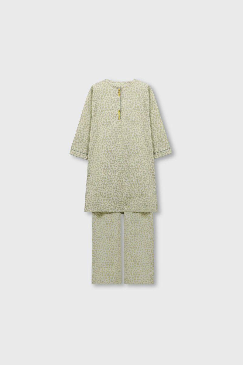 Soft Green Printed Cotton Kurta Set - 2pc