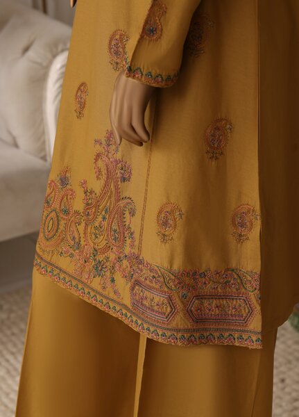 Bold N Slay by HZ Textiles Women RTW Embroidered Cotton Co Ords Sets HZ26PBS Cse-2P-2602 - Casual Collection