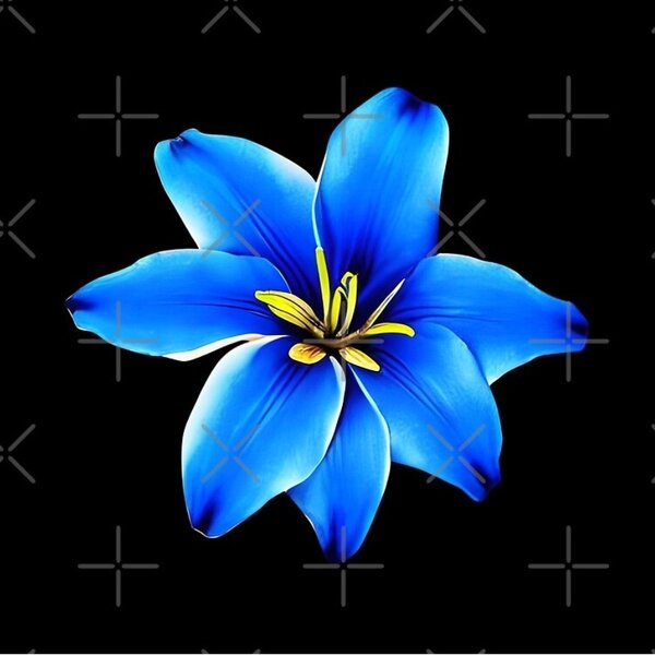 Myrrhelys⚜️/ KC_Jewel