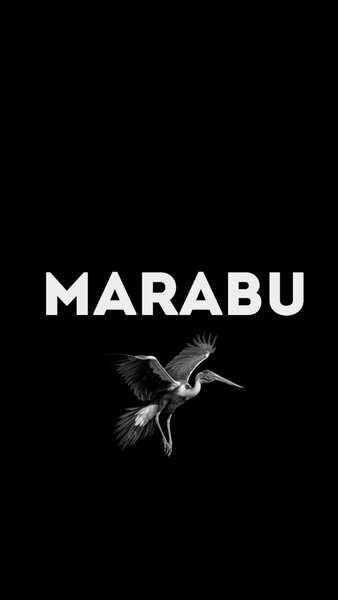 marabu 