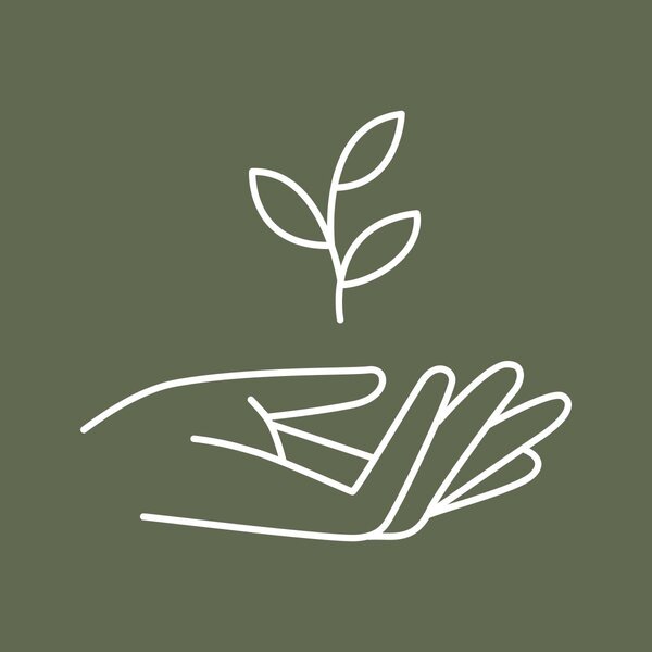 Натуральные мыла