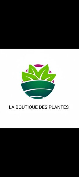boutique des plantes 