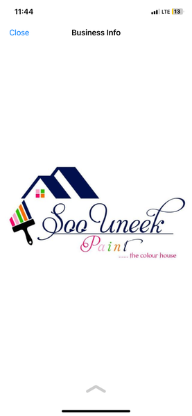 Soo Uneek paints