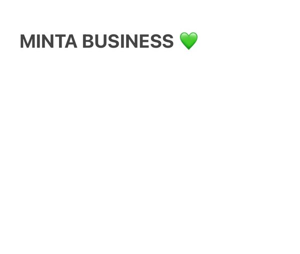 Minta Business 