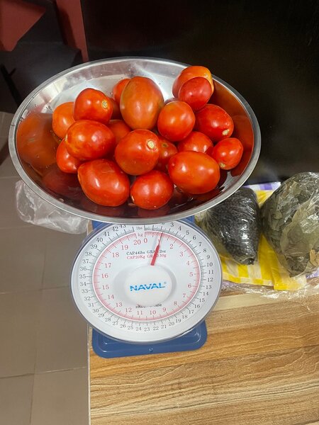 Poissonnerie express 