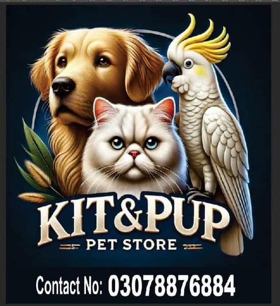 KITnPUP Pets Store