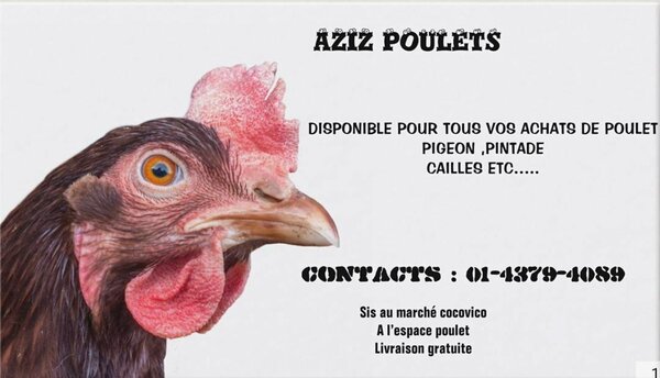Aziz POULET 