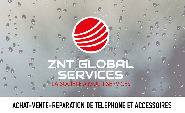 ZNT GLOBAL Services 