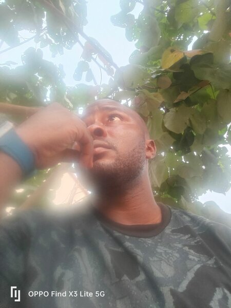 tissi yossa ruht Gullit