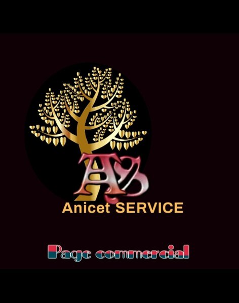 Anicet service 
