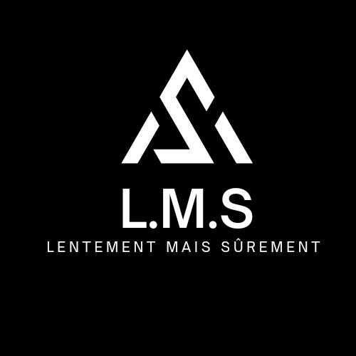 L.M.S service 2