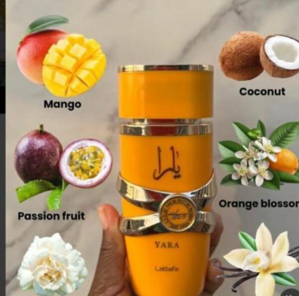 senteu +by Jeannette 