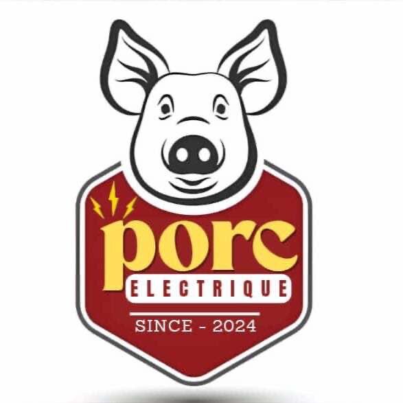 PORC ÉLECTRIQUE 