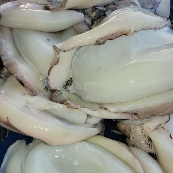 St paul poissonnerie 