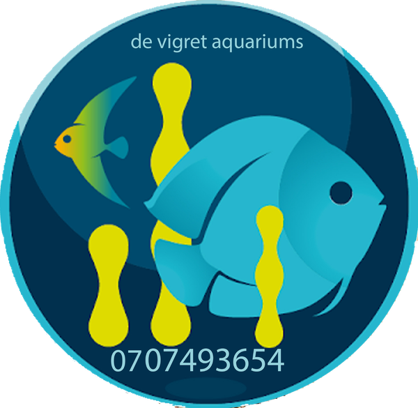 Devigret aquariums 