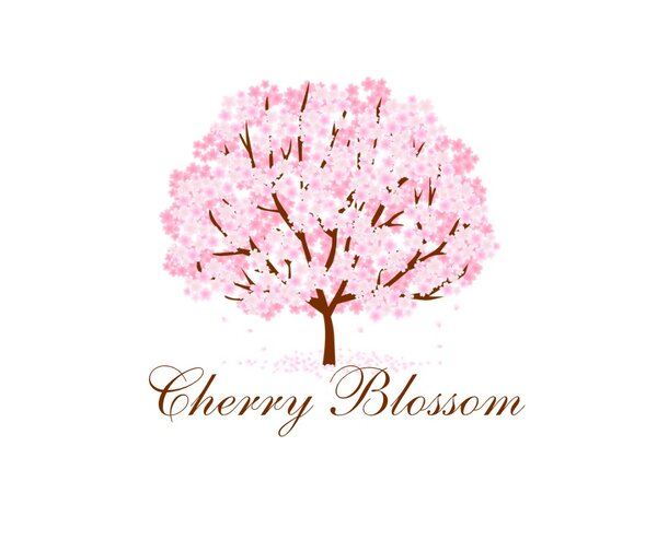 Cherry Blossom 
