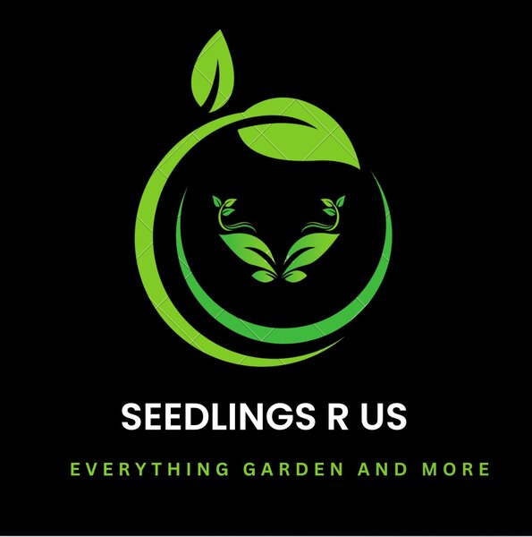 Seedlings R Us