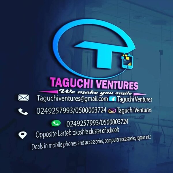 Taguchi Ventures