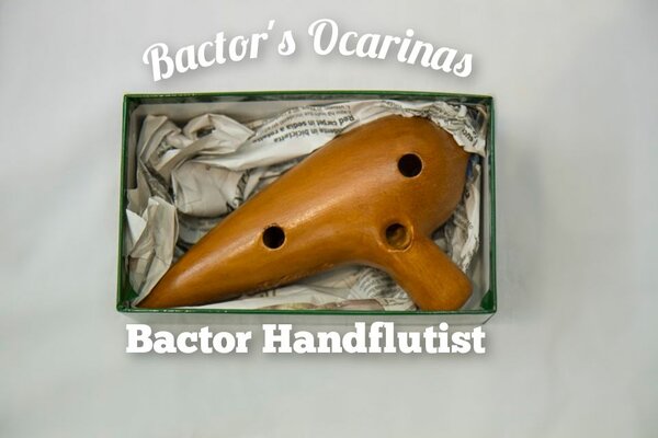 Bactor Handflutist 