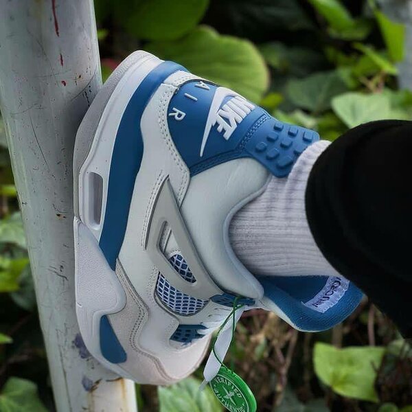 Moonlight collection