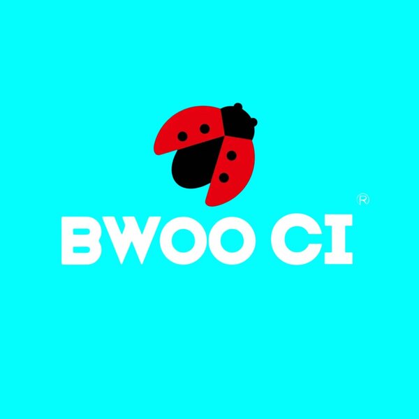 BWOO CI