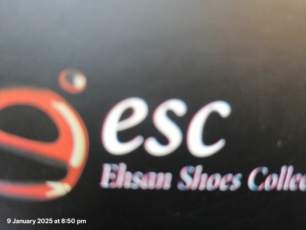 ESC shoes
