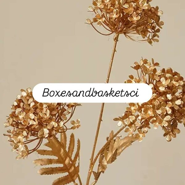 Boxanbasketsci 