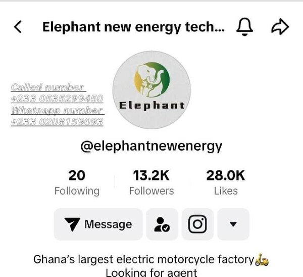 Elephant Energy Motor