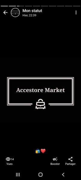 Accestore Market 