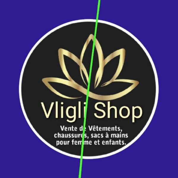 vligli shop