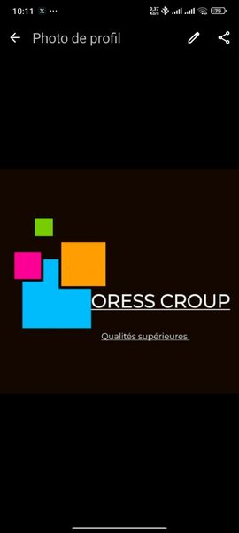 ORESS GROUP 
