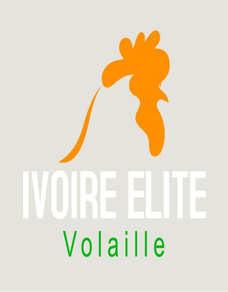Ivoire élit vollaile