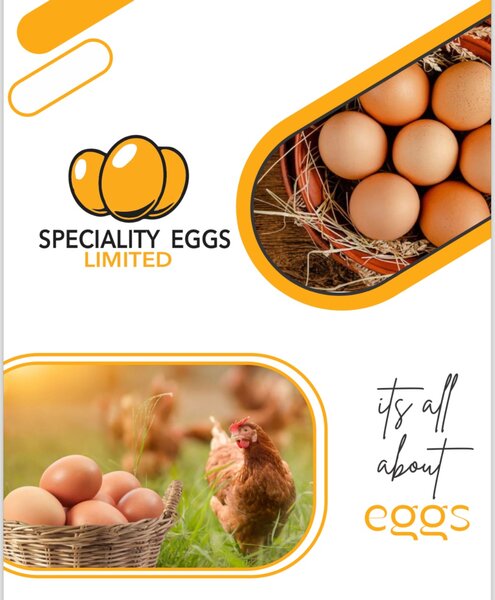 Speciality Eggs