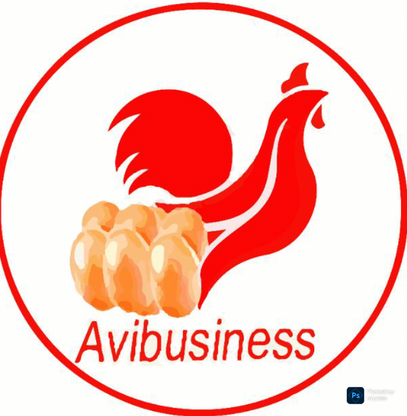 Avibusiness 