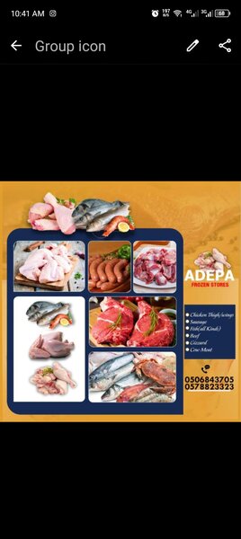 ADEPA FROZEN stores