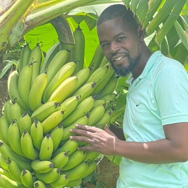 Orchards and Gardens 