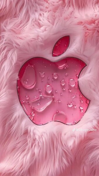 Biba~Boutique 🛍️